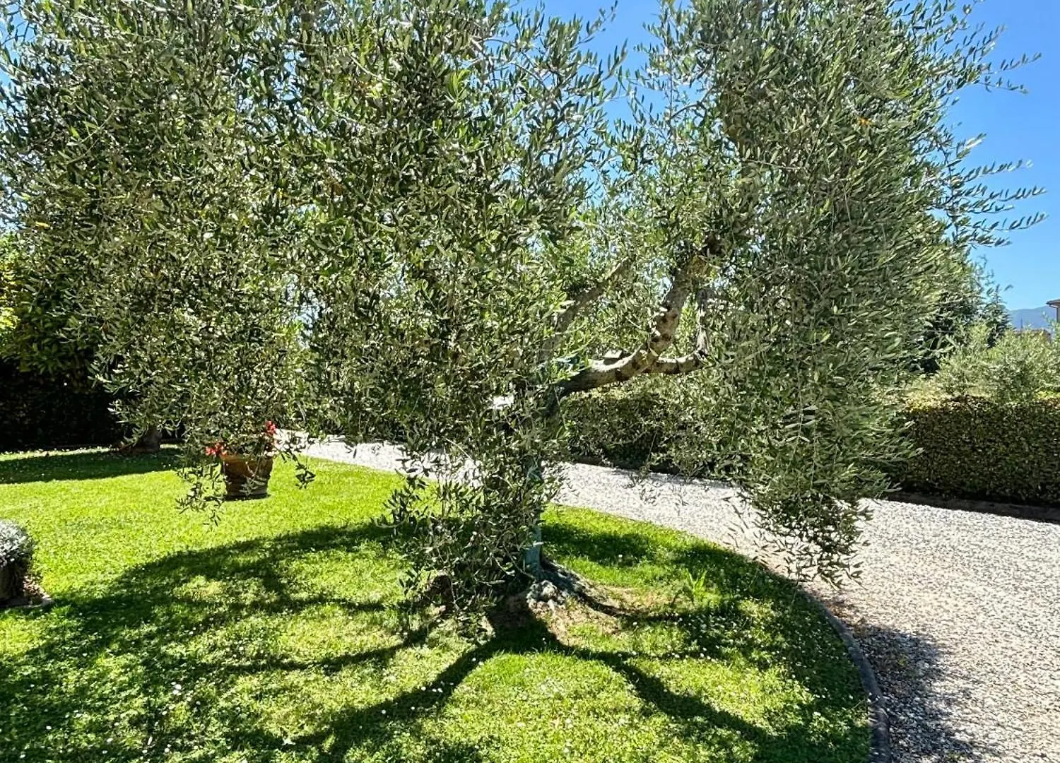 Casa Corte Degli Olivi 2 Lucca